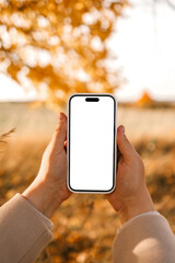 Phone in hands with an isolated screen on the background of an autumn road