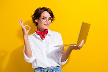 Photo of attractive positive person hold netbook demonstrate okey symbol isolated on yellow color...