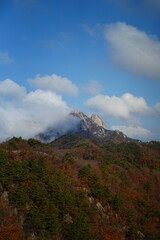 Fototapeta premium 북한산 정릉 단풍