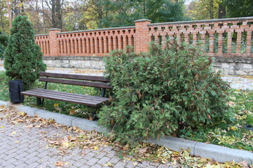 A bench next to a tree