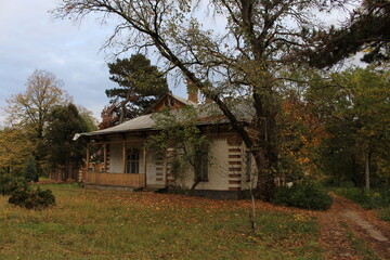 A house with a tree in the back