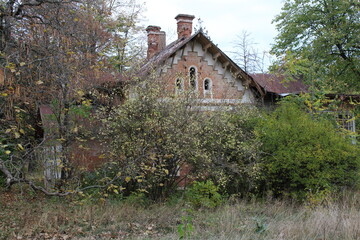 A house with trees around it