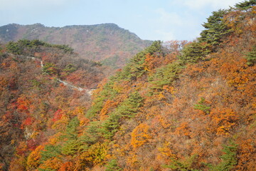 북한산 정릉 단풍