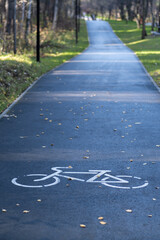 Obraz premium A signpost or bicycle road sign painted on the asphalt in a city park. Bicycle path in the forest. The concept of safety, compliance with traffic rules. Bike Lane.