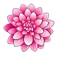 Hand drawn of beautiful pink Dahlia flowers with leaf. Botanical illustration isolated on white background. Can be used for stickers, greeting card