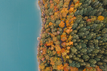 Luftaufnahme von Wald am See