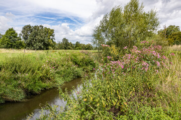 Dutch meadow landscape with pink flowers of wild plants, Geul river among wild grass, leafy trees against cloud covered sky in background, sunny day in Terpoorten, Epen, South Limburg, Netherlands