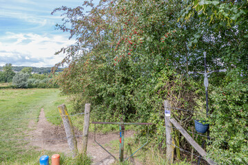 Epen Bronnenland nature reserve, poles with different hiking routes, blue, orange and purple, metal cross with Jesus, countryside in background, sunny day in Gulpen-Wittem, South Limburg, Netherlands