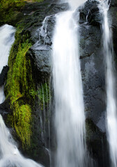Fototapeta premium waterfall in the forest