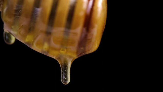 Liquid and fresh honey dripping from wooden honey spoon black background.