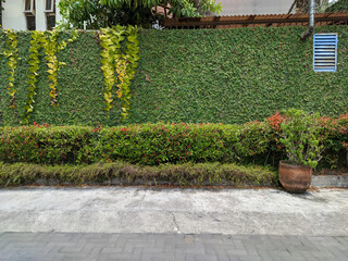 A green living fence surrounds the house, creating a natural and cozy atmosphere. The fence is covered with various plants.