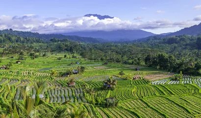 Fototapeten Bali Rice fields in Sidemen valley with Mount Agung in the background, Bali, Indonesia.  © javarman