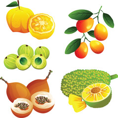 set of exotic fruits