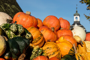 Stapel von bunten Kürbissen auf einem Bauernhof im Herbst