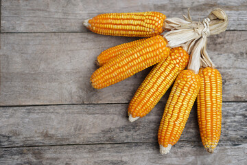 Dried corns or maizes, peeled off and tied peels.Old wooden background. Concept, economic agriculture crops in Thailand. Maizes are used as material for producing animal feed.        