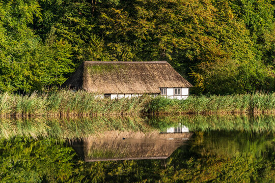 Eine Reetdachkate an einem Teich im Freilichtmuseum Kiel-Molfsee mit Wasserspiegelung