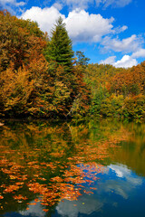 Beautiful autumn landscape by the Vida lake in Apuseni Mountains, Romania. Trees in colorful foliage and forested in the Occidental Carpathians reflecting in the water surface.