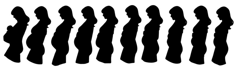 set of silhouette of pregnancy progress. isolated on a background.