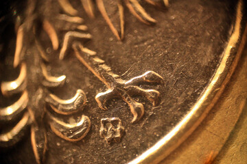 Eagle's paw on a Polish coin in macro 
