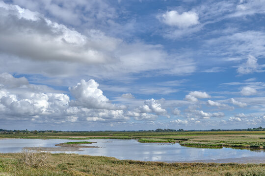 Wester Spaetinge Nature Reserve close to Husum and Simonsberg,North Frisia,North Sea,Germany