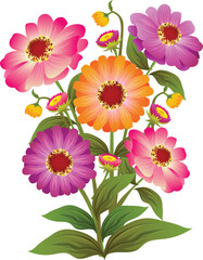 zinnia flower vector illustration - obrazy, fototapety, plakaty