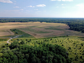 Fototapeta na wymiar Green deciduous forest next to a farm field. Landscape from a bird's eye view. Sunny weather.