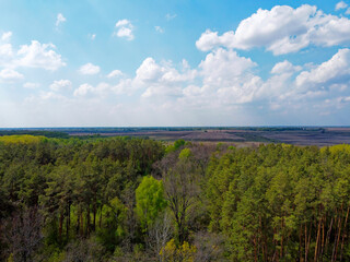 Blue cloudy skies over a dense forest, aerial view. Beautiful cloudy sky over the forest.