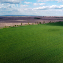 Naklejka premium A dry irrigation canal in a sown field, aerial view. Farmland landscape.