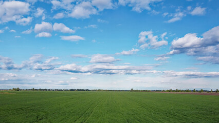 Blue sky over a green field, aerial view. Farmland landscape.