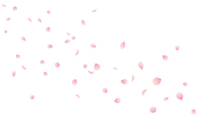 Fototapeta na wymiar 花びら散る桜吹雪のイラスト