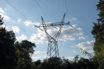 High voltage post surrounded by forest