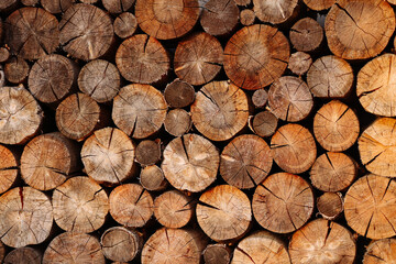 Woodpile pattern or texture. Round cuts of wood in natural light. Concept for background, wallpaper, or design element with copy space for your text or logo.