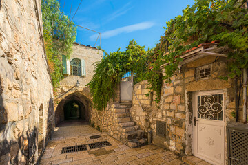 Picturesque street in the Armenian Quarter of the Oil City of Jerusalem featuring plants and an arch