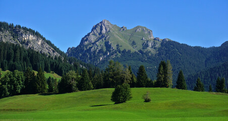 Fototapeta na wymiar Tannheimer Tal bei Tannheim-Grän; Tirol; Österreich; Blick zum Aggenstein in den Allgäuer Alpen