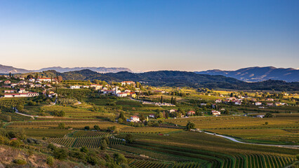 Colorful sunset in the vineyards at the border between Italy and Slovenia - obrazy, fototapety, plakaty
