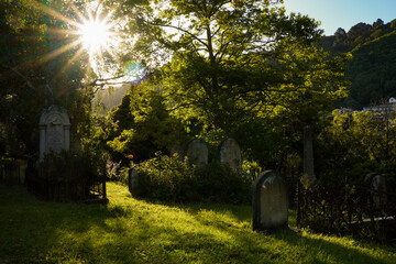 alter Friedhof bei sonnenschein
