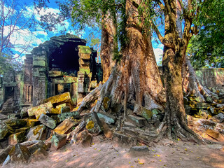 Fototapeta premium Ta Prohm, a mysterious temple of the Khmer civilization, located on the territory of Angkor in Cambodia