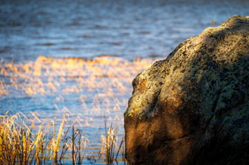 sunrise on mossy rock
