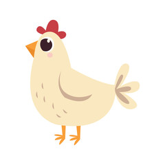 chicken .Cartoon chicken characters design with flat color .