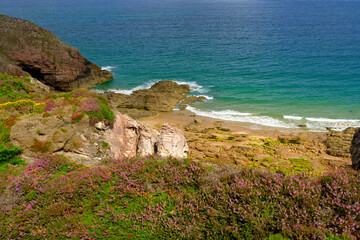 Fototapeta na wymiar cliffs and rocks at Cap Fréhel, Brittany, France