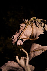 Zbliżenie na detal pomnika - głowę konia w parku miejskim wieczorem, oświetlony reflektorem w...