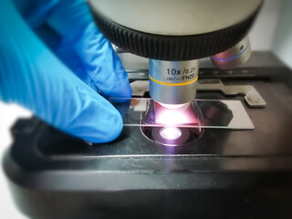 Scientific analysis, lab testing and biological science research concept with picture of scientist...