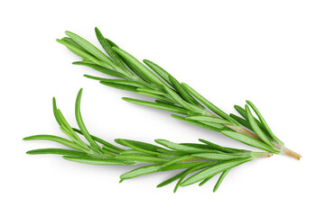 Rosemary twig and leaves isolated on white background. Top view. Flat lay