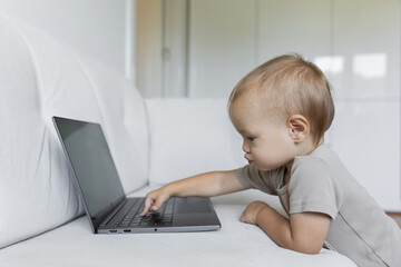 A little boy works on a laptop, presses buttons in a room at home. A small programmer, the concept of early development and online education.