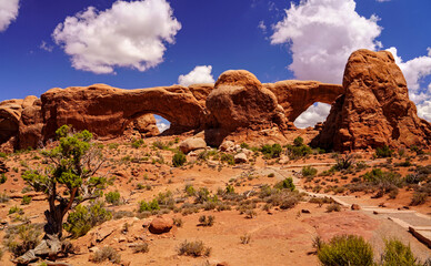 Fototapeta na wymiar The Arches National Park, Moab (Utah)