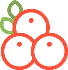 Raspberry icon
