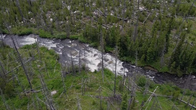 Aerial Footage of Mountain River, Montana, Summer