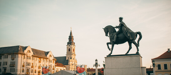 statue of Ferdinand the 1st in Oradea - obrazy, fototapety, plakaty