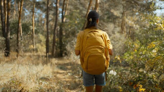 camera follows Woman hiker walking trail in autumn pine forest at warm day. female traveler with yellow backpack hiking in woods around mountain lake at sunny morning, adventure outdoor lifestyle.