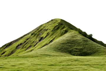 green hill with house and tree on transparent background, png file